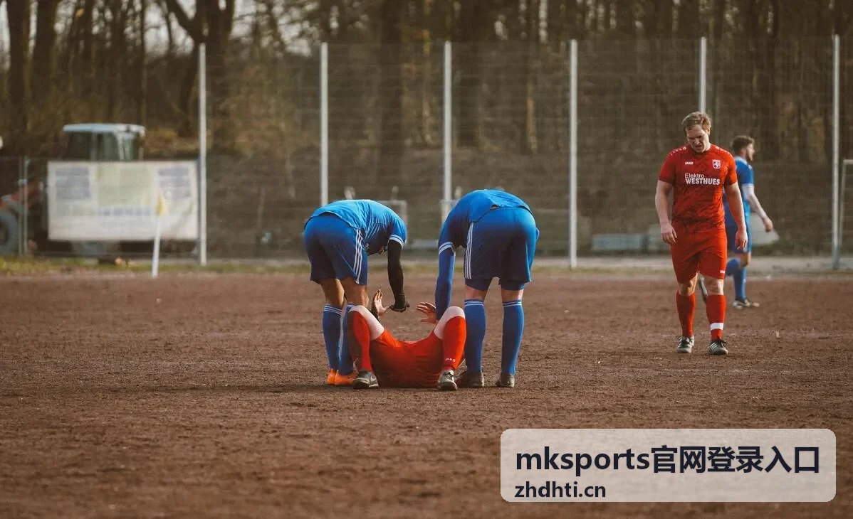 mksports官网登录入口安全防护功能介绍图片